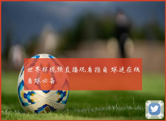 世界杯视频直播观看指南 球迷在线看球必备