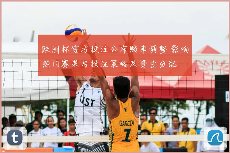 欧洲杯官方投注公布赔率调整 影响热门赛果与投注策略及资金分配