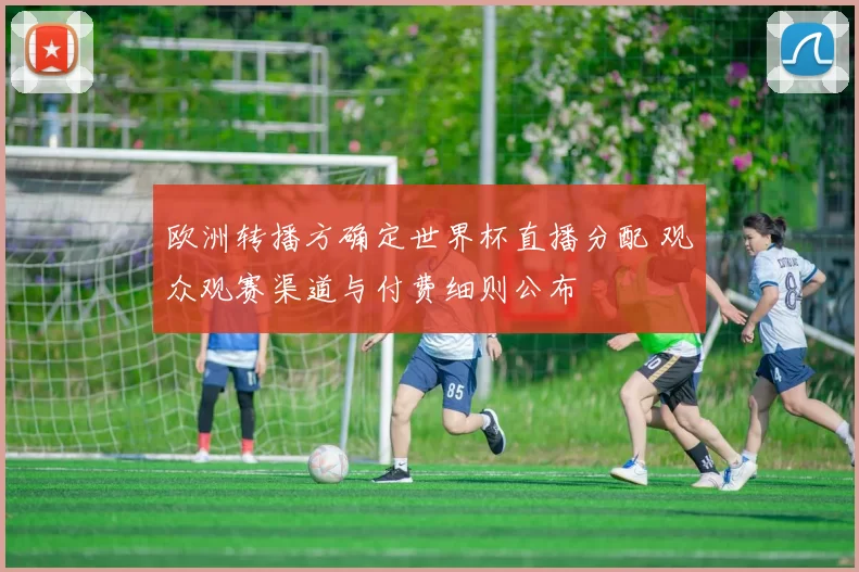 欧洲转播方确定世界杯直播分配 观众观赛渠道与付费细则公布